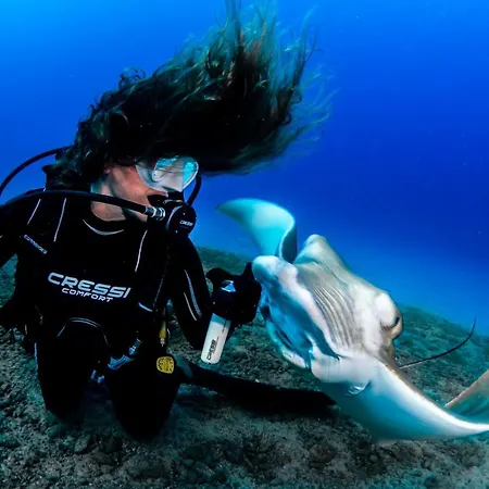 Апартаменты Mundo House, Playa San Marcos, Tenerife *